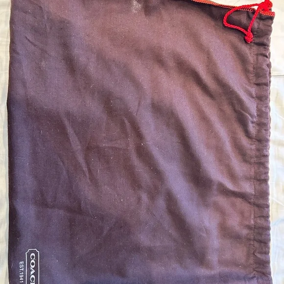 Coach Ladybug Tan and Green Women's Bag - Picture 10 of 10